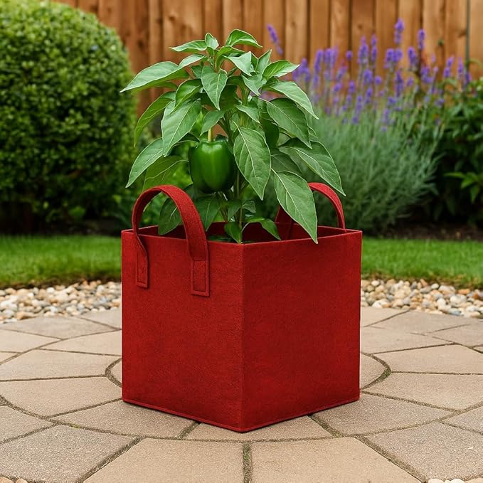 Holistic Health & Well-Being